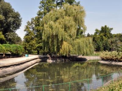 Завршено чишћење језерца у Дунавском парку