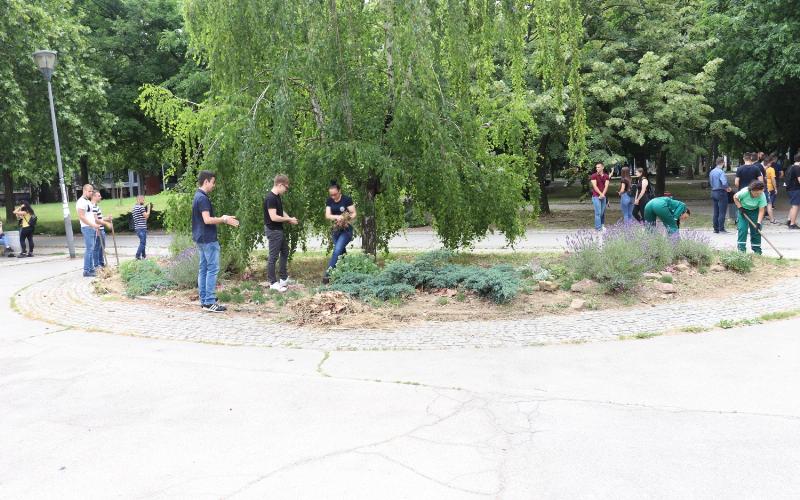 Новосадски студенти окопавали цвеће на Доситејевом  тргу у Кампусу Новосадског универзитета