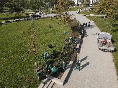 Садњом сезонског цвећа у парку између Новог насеља и Детелинаре  започето велико јесење улепшавање новосадских паркова