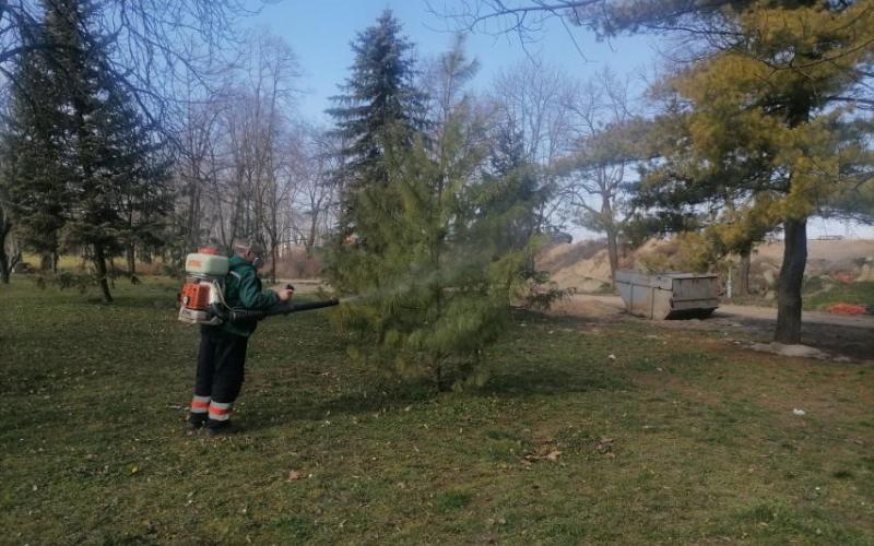 Нови Сад по угледу на светске метрополе увео заштиту дрвећа фунгицидима и инсектицидима