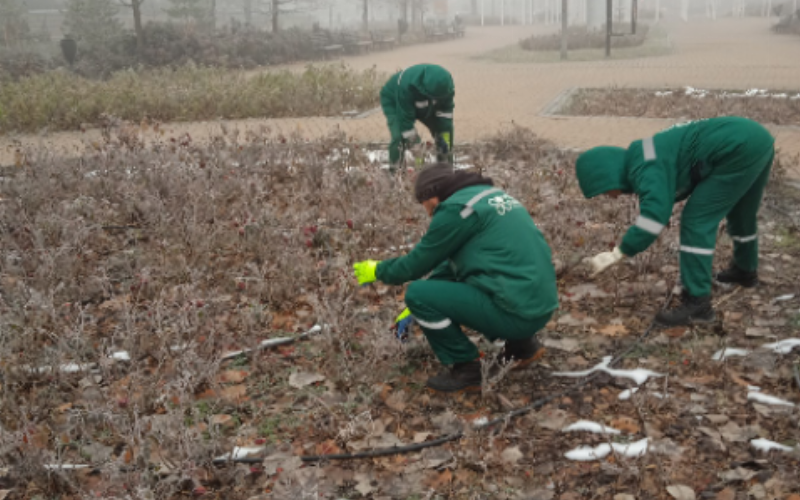 РАДНИЦИ „ГРАДСКОГ ЗЕЛЕНИЛА“ РАДИЋЕ И ТОКОМ НОВОГОДИШЊИХ ПРАЗНИКА