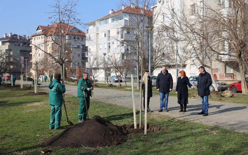 НОВА СТАБЛА ЗА УЛИЦЕ СТАНОЈА СТАНОЈЕВИЋА И ВОЈВОДЕ ШУПЉИКЦА