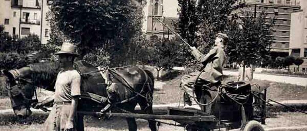1962ZELENILOPRSKANJE