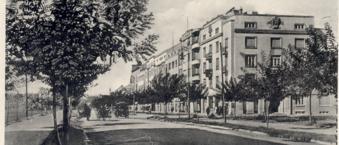 Dunavski park 07