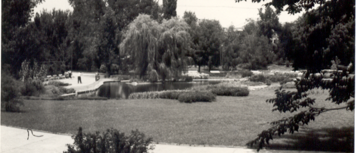 Dunavski park 10